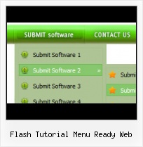 Apply Image Navigation To Menu Control Flash Form With Navigation Tabs