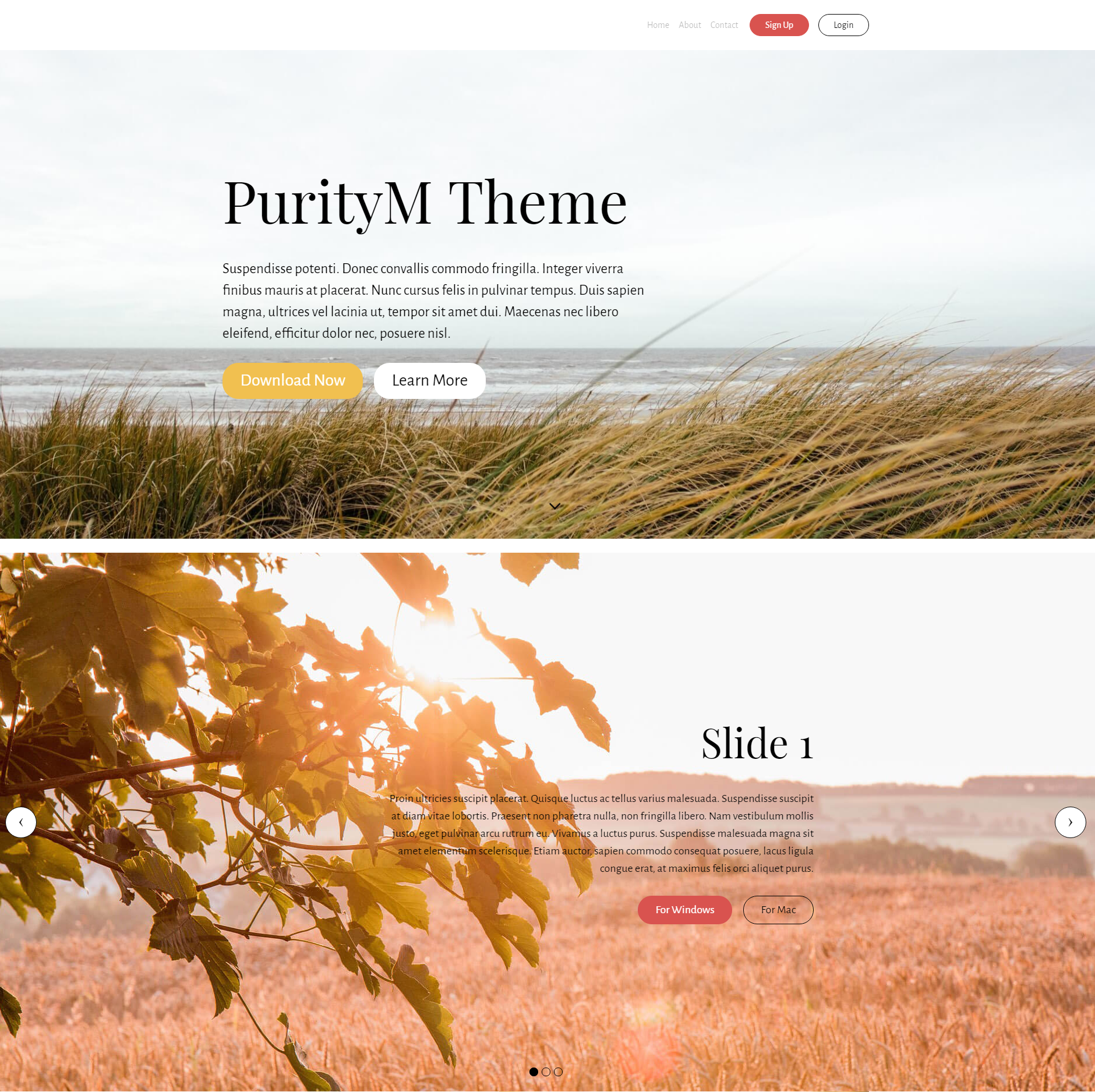 HTML5 Bootstrap PurityM Templates