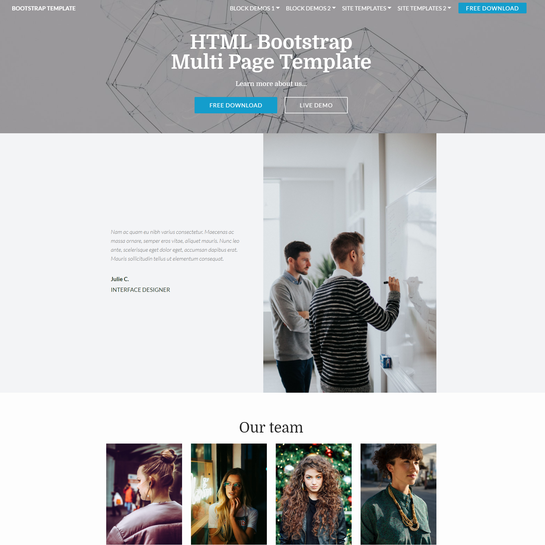Free Download Bootstrap Multi page Themes