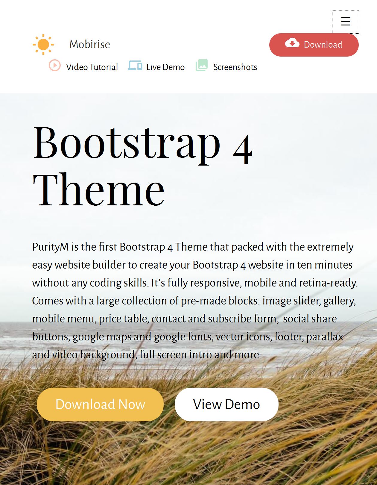 Mobile Bootstrap Template