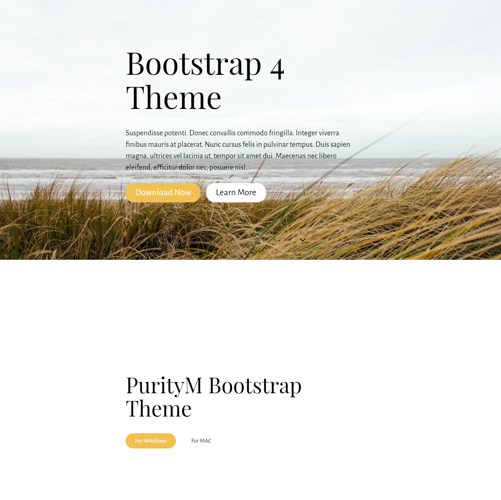 Free Download Bootstrap 4 Themes