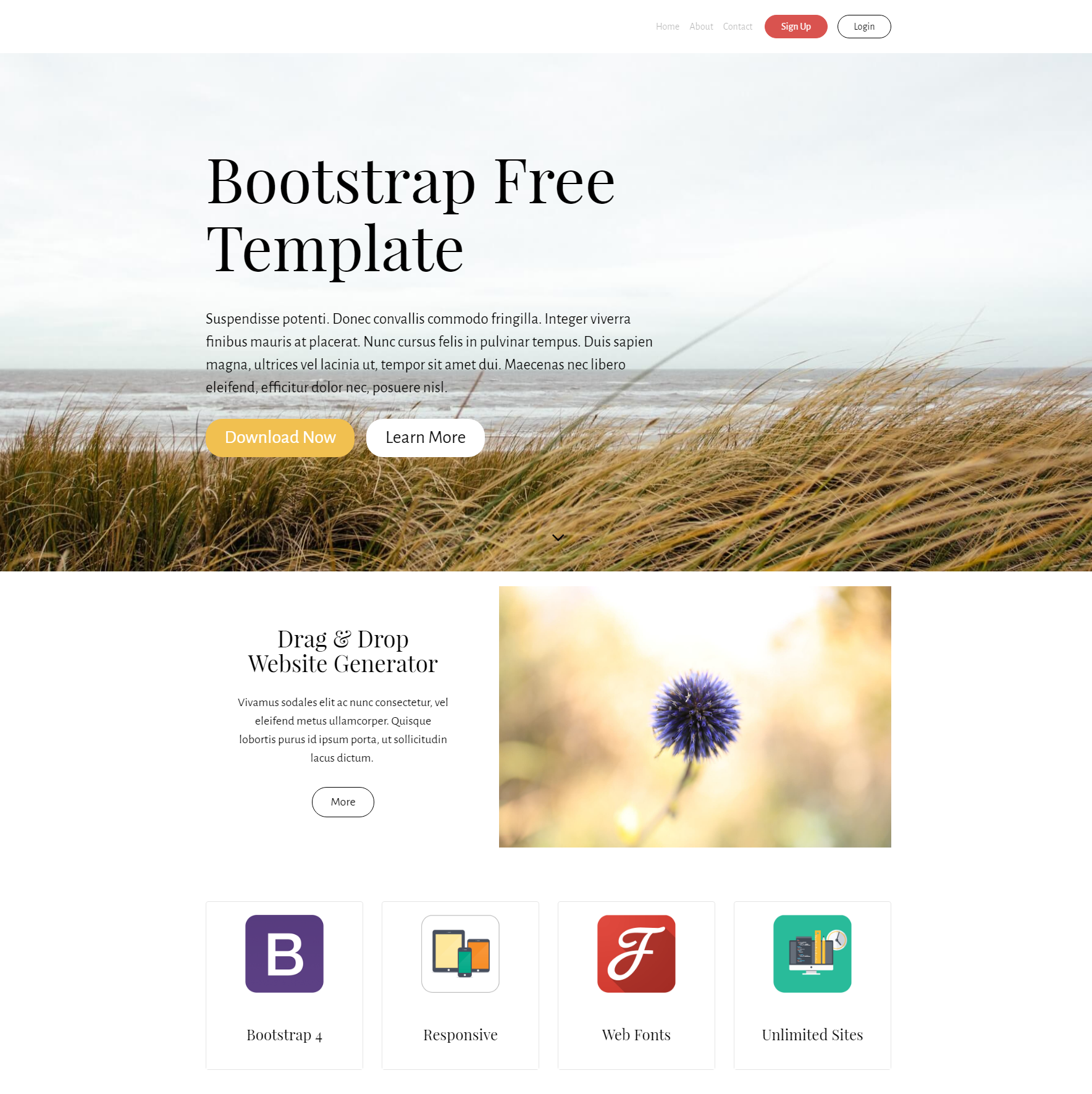 HTML Bootstrap Free Templates