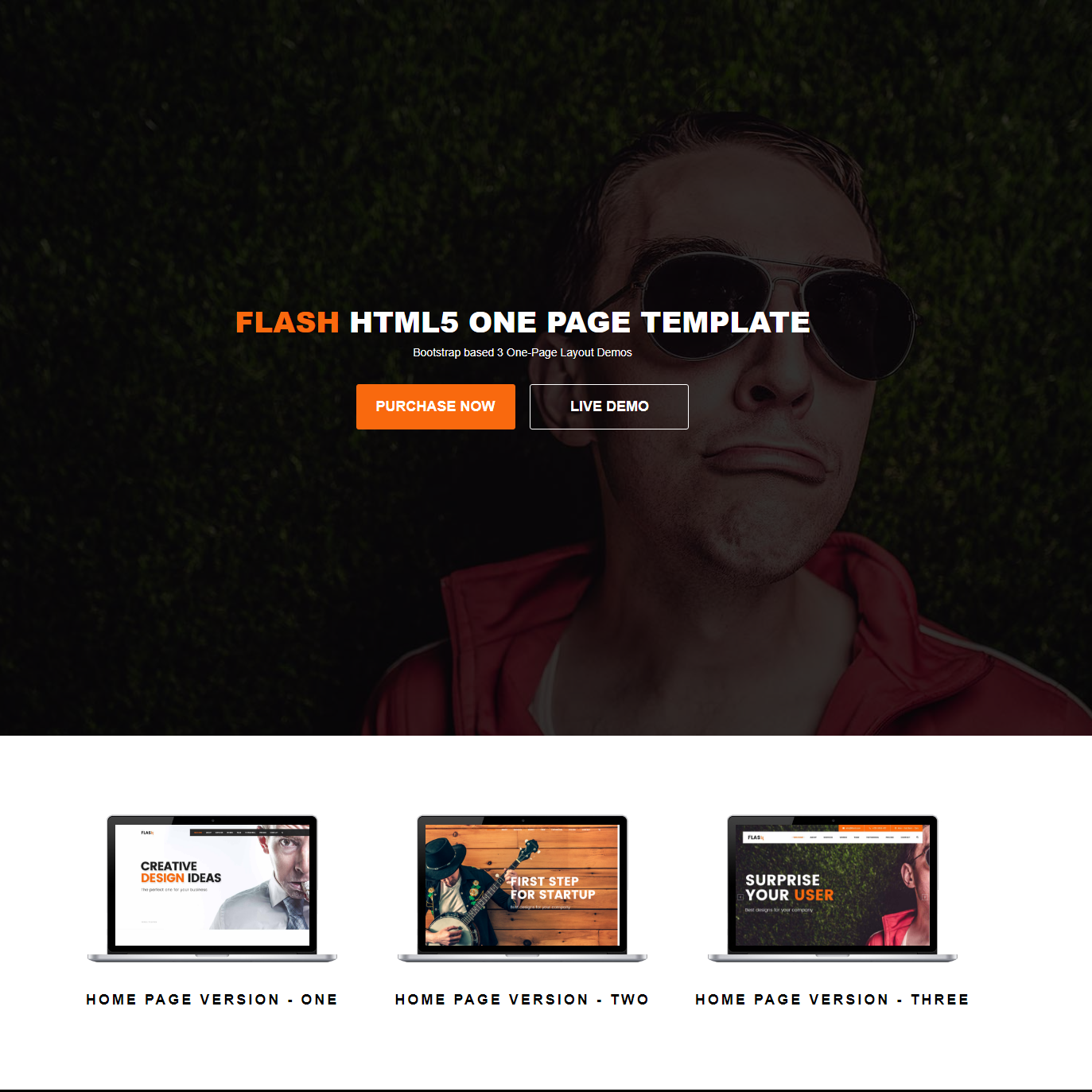 Free Bootstrap Flash Themes